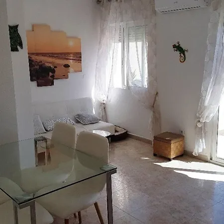 Owner Solidarity - Reduction Of Prices - 8 Apartment Torrevieja